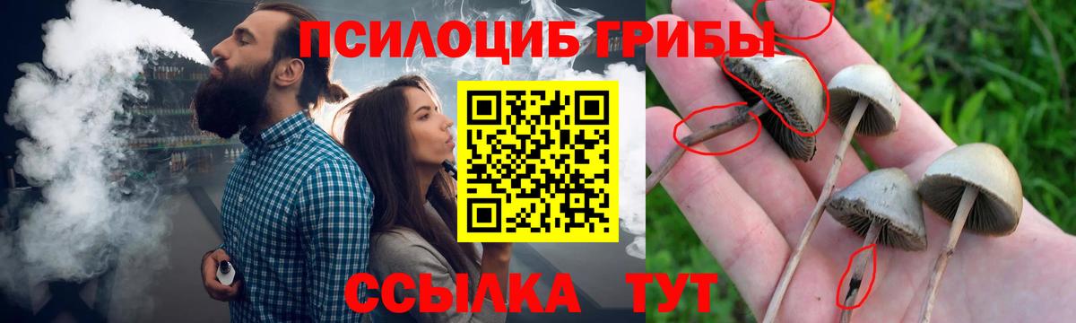 Лабытнанги  Галлюциногенные грибы мухоморы  Вход с VPN 